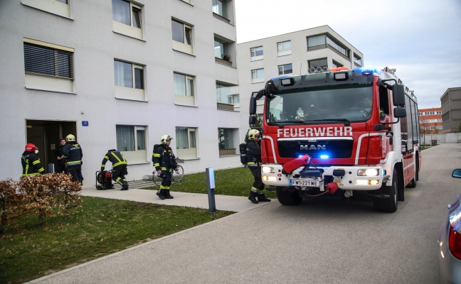 Feuerwehr bei vermutetem Gasaustritt in Wels-Lichtenegg im Einsatz