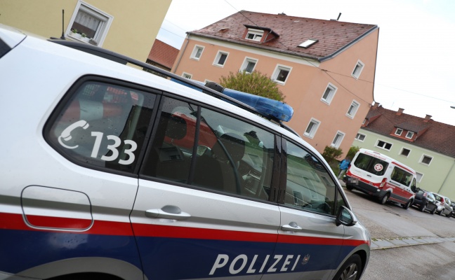 Mieter balancierte sonst samt Besuch ber Dachluke und Fenster in seine Wohnung in Wels-Vogelweide