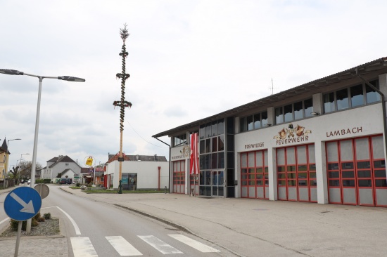 Maibaum umgestrzt: Schrecksekunde beim Maibaumaufstellen in Lambach