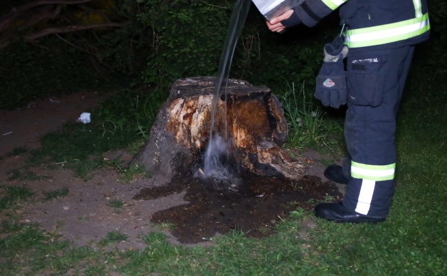 Brand eines Baumstumpfes in Wels-Vogelweide sorgt fr Einsatz der Feuerwehr