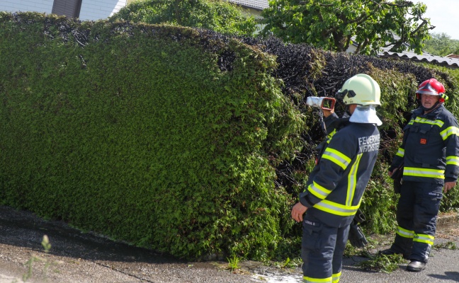 Brand einer Thujenhecke in St. Marien führte zu Einsatz zweier Feuerwehren