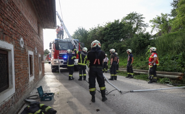 Umgestürzter Telefonleitungsmast in Buchkirchen erweckte bei Störungshotline wenig Eindruck