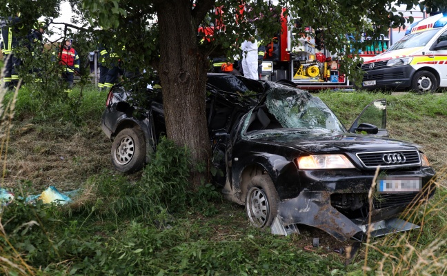 Tödlicher Verkehrsunfall: Auto in Eggendorf im Traunkreis gegen Baum geprallt