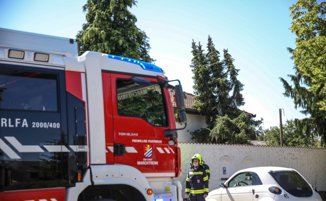 Feuerwehreinsatz in Marchtrenk: Baum mit mehreren Wipfeln lehnte sich an Hausfassade