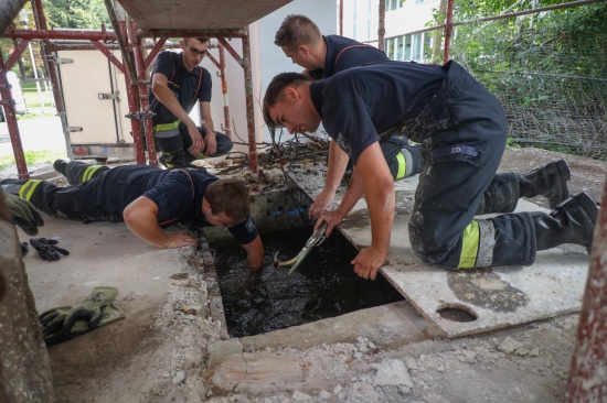 Einsatzkrfte beseitigen schwer zugngliche Verklausung des Gieerbachs in Wels-Lichtenegg