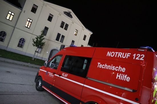 Fledermaus in Kinderzimmer: Feuerwehr bei Tierrettung in Wels-Lichtenegg im Einsatz