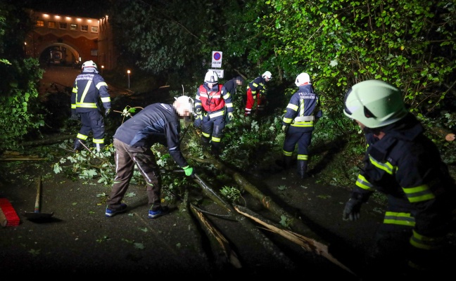 Umgestrzte Esche blockierte Strae in Bad Wimsbach-Neydharting