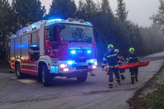 Personenrettung: Verletzte Person in Marchtrenk aus Bschungsbereich des Traunflusses gerettet