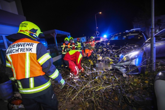 Alkolenkerin bei Unfall in Marchtrenk gegen Baum gekracht