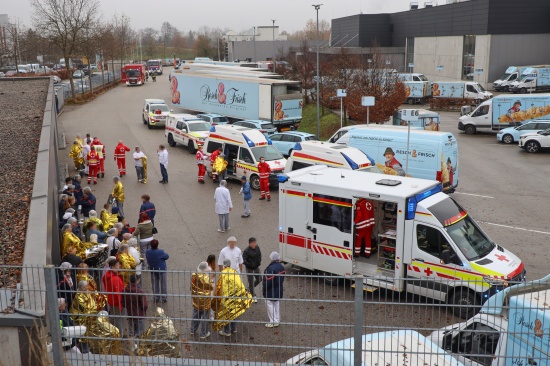 14 Verletzte: Groeinsatz nach Ammoniakaustritt bei Produktionsbetrieb in Wels-Schafwiesen