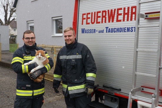Katze in Wels-Lichtenegg durch Feuerwehr vom Baum gerettet