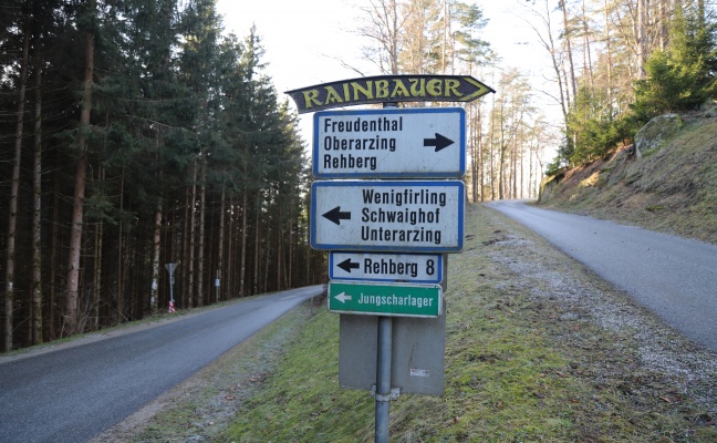 Pensionist (74) bei Forstunfall in St. Leonhard bei Freistadt tödlich verletzt