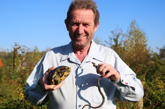 Freude riesengroß: Besitzer hatte exotische Schmuckschildkröte bereits vermisst