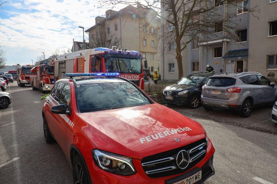 Ein Verletzter bei Zimmerbrand in einem Mehrparteienwohnhaus in Wels-Neustadt