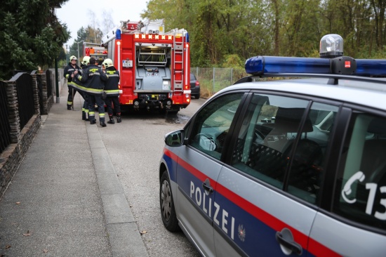 Feuerwehr bei Brand einer Biotonne in Wels-Neustadt im Einsatz