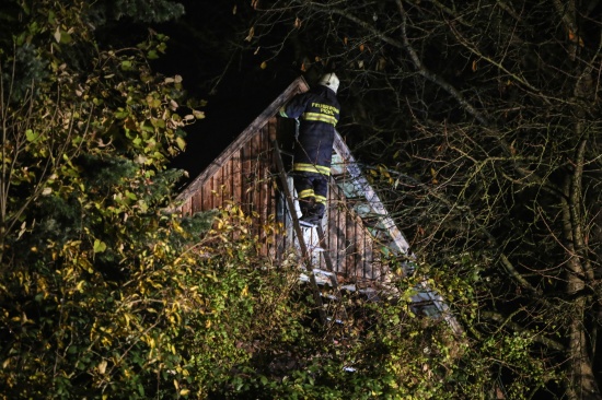 Feuerwehr rettete Katze vom Dach eines Hauses in Pichl bei Wels