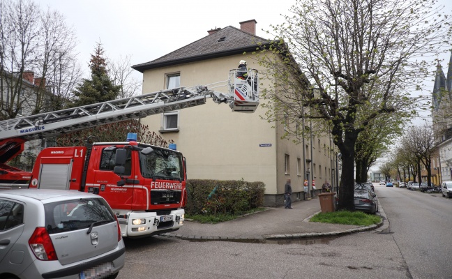 Dachbodenfenster in Wels-Neustadt mit Drehleiter der Feuerwehr aus Baumkrone geborgen