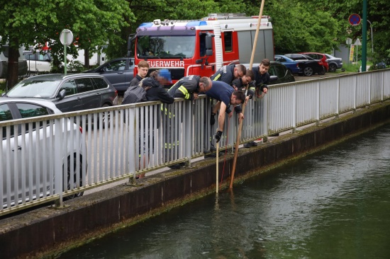 Einsatzkrfte der Feuerwehr erneut "zum Fischen" an den Mhlbach in Wels-Innenstadt ausgerckt