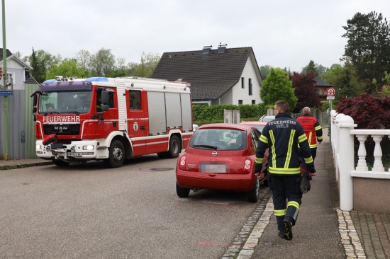 Reh im Schenkelbach lste Einsatz der Feuerwehr in Wels-Pernau aus