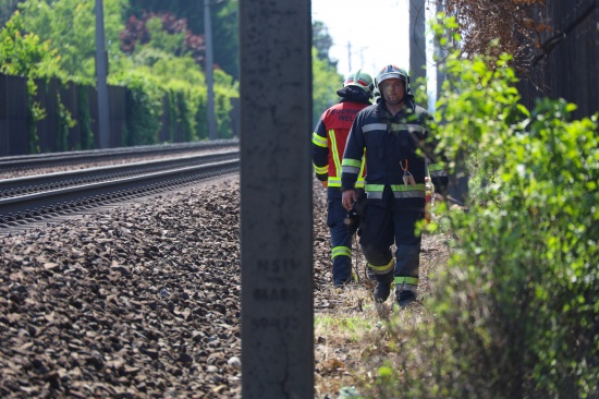 Kleinbrand an der Westbahnstrecke in Wels-Lichtenegg rasch gelscht