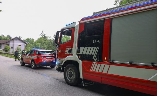Feuerwehr zu Tierrettung nach Thalheim bei Wels alarmiert