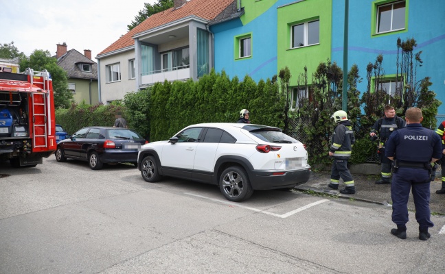 Brand einer Thujenhecke in Wels-Neustadt sorgte fr Einsatz der Feuerwehr