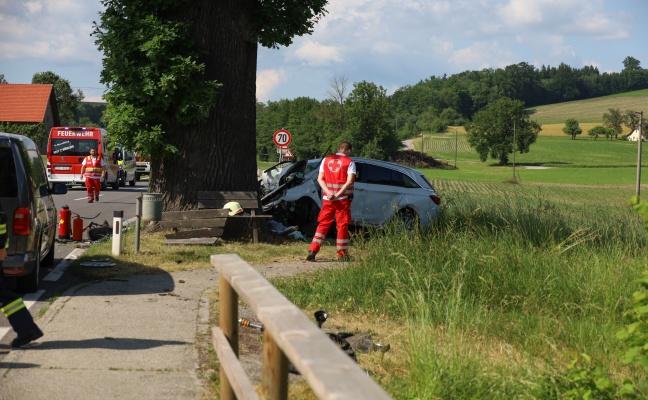 Tdlicher Verkehrsunfall: PKW bei Tollet frontal gegen Baum gekracht