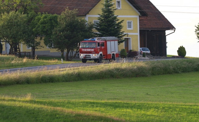 Drei Feuerwehren bei Brand in einem kleineren Holzstadl in Peuerbach im Einsatz