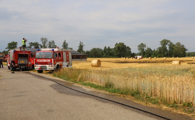 Zwei Feuerwehren bei Feldbrand in Weikirchen an der Traun im Einsatz