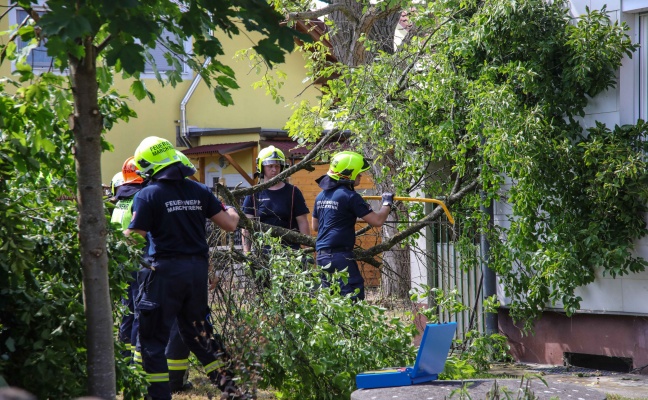 "Baum auf Dach gestrzt": Sturmschaden in Marchtrenk weniger dramatisch als gemeldet