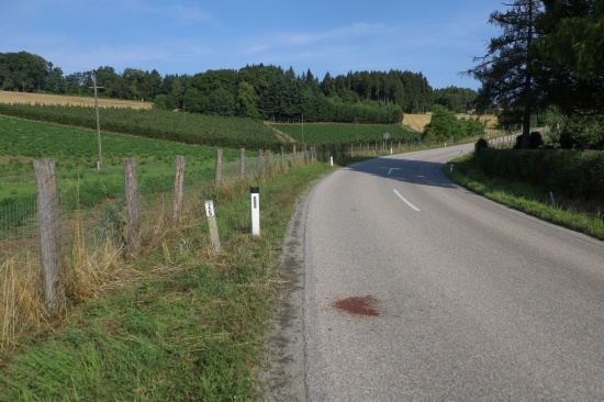 Rennradfahrer (17) tdlich verunglckt: Folgenschwerer Sturz bei Junioren-Rundfahrt in Buchkirchen