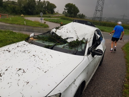 Personenrettung: Baum auf Innviertler Strae bei St. Florian am Inn auf fahrendes Auto gestrzt