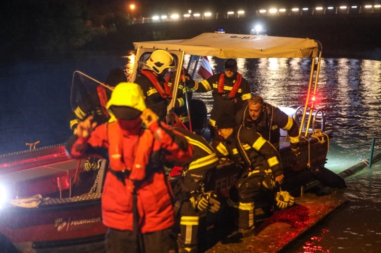 Bootseinsatz: Feuerwehr befreit Schwan auf der Traun in Thalheim bei Wels von eingehngtem Ast