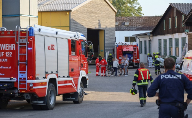 Brand bei einem Holzverarbeitungsbetrieb in Schwanenstadt sorgte fr Einsatz zweier Feuerwehren