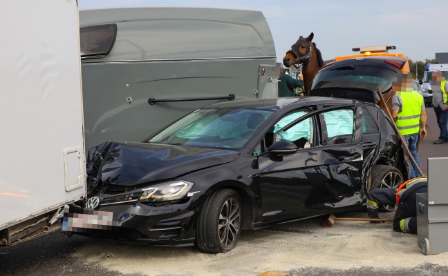 Crash zwischen LKW, PKW und Wohnmobil samt Pferdetransportanhänger in Wels-Waidhausen