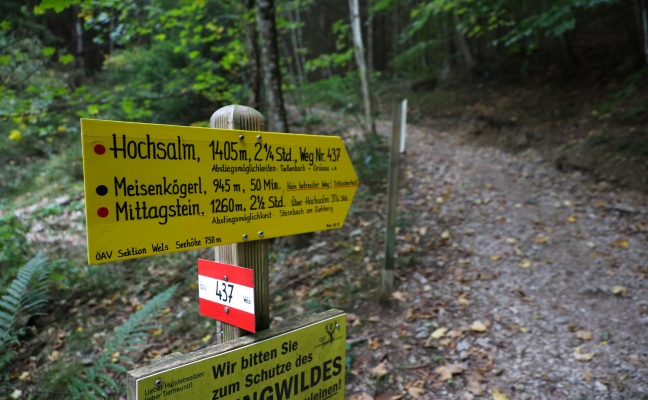 Tdlicher Alpinunfall: Wanderin (34) am Meisenkgerl bei Scharnstein ber Felswand abgestrzt