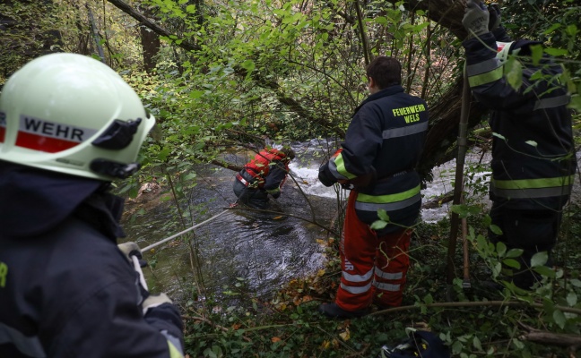 Verklausung im Schenkelbach in Wels-Pernau sorgte fr Einsatz der Feuerwehr