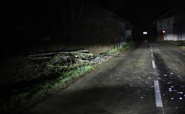 Umgestrzer Baum blockierte Strae in Neukirchen bei Lambach