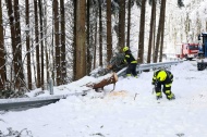 Einsatzsituation nach starken Schneefllen in Obersterreich hat sich am Sonntag beruhigt