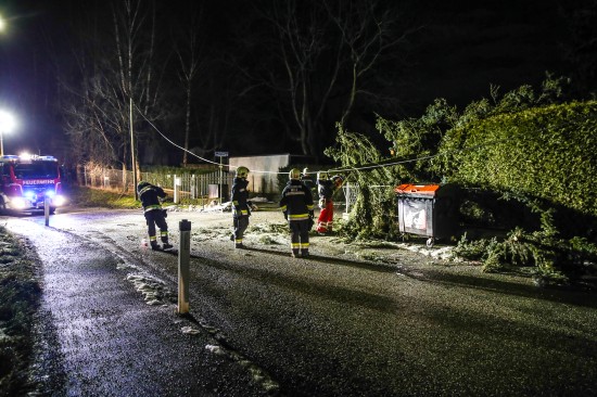 Sturmben sorgen fr Feuerwehreinsatz in Wels-Neustadt