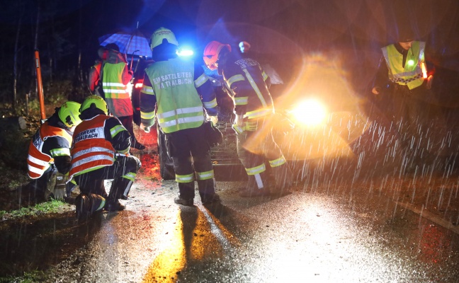 Auto in einem Waldstck in Thalheim bei Wels mit umgestrztem Baum kollidiert