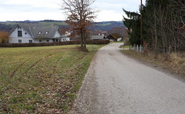 Autolenkerin in St. Martin im Mhlkreis mit PKW gegen Baum geprallt