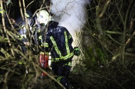 Brand eines hohlen Baumes in Wels-Vogelweide sorgt fr Einsatz der Feuerwehr