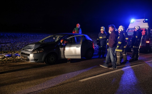 Entlaufenes Schwein fhrte zu Unfall in Buchkirchen