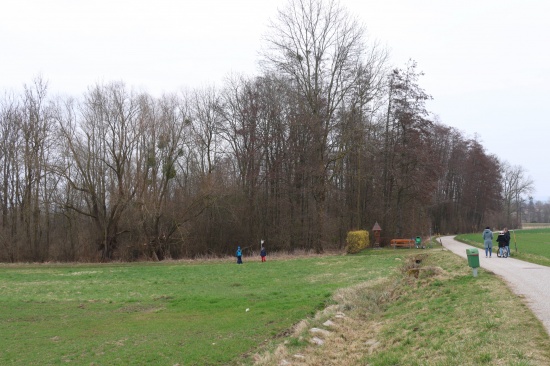 Personenrettung: Kind auf einem Baum in Pasching eingeklemmt