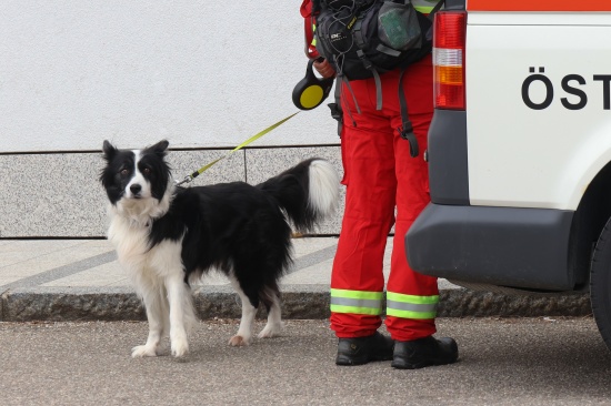 Abgngiger (29) bei groangelegter Suchaktion in Attnang-Puchheim tot aufgefunden