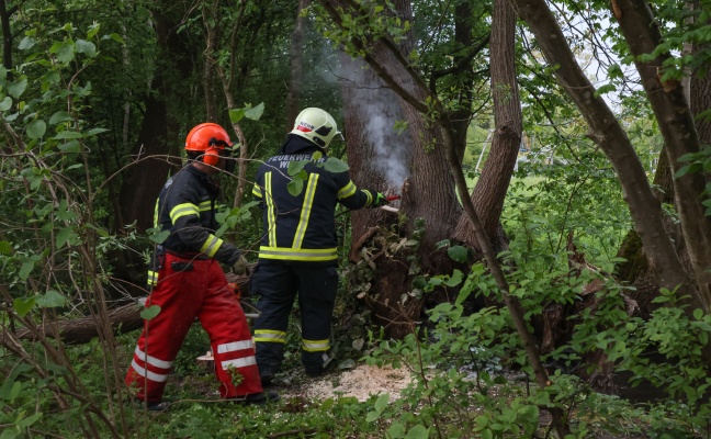 Lscheinsatz mit Motorsge: Neuerlicher Brand eines Baumstumpfes in Wels-Vogelweide