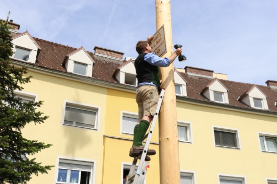 Tradition fortgesetzt: Groes Maibaumfest fr politisch umgefrbten Maibaum in Wels-Vogelweide