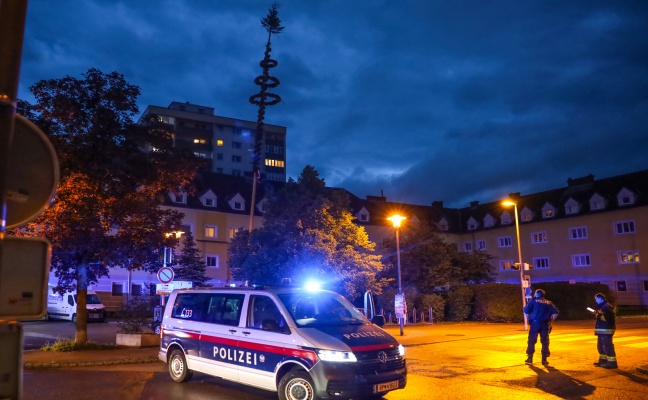 Gewitter mit strkeren Sturmben versetzte Maibaum in Wels-Vogelweide in Schieflage