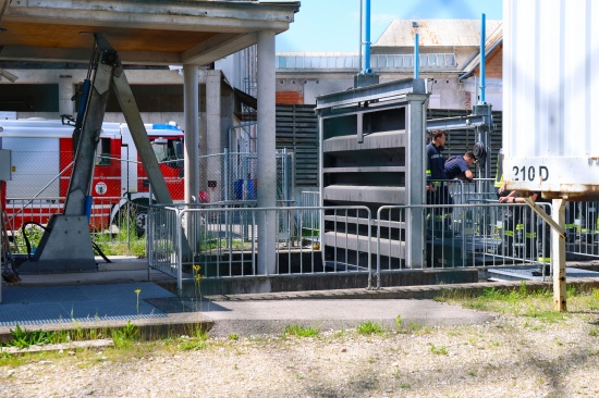 Reh im Mhlbach sorgte fr mehrere Einstze der Feuerwehr in Wels